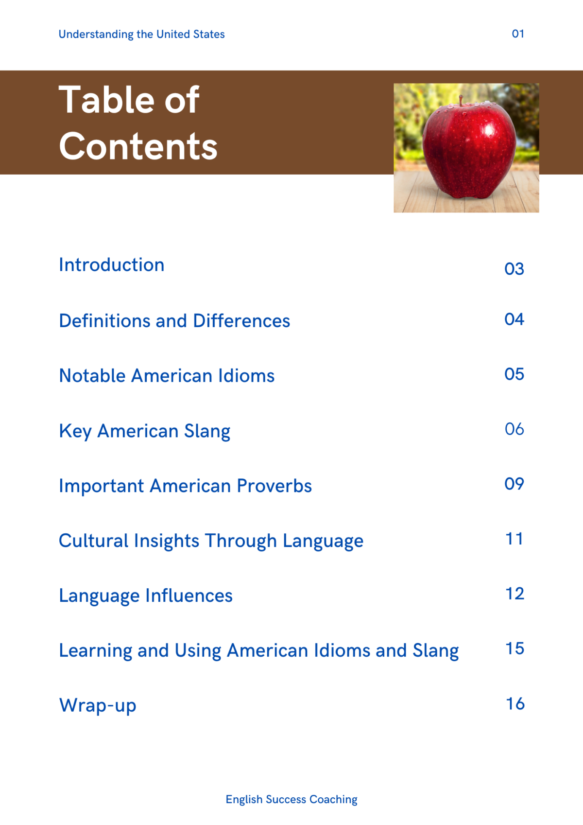 Understanding the United States: Idioms and language use